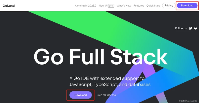 工具技巧GoLand编码设置_goland安装教程_GoLand配置步骤