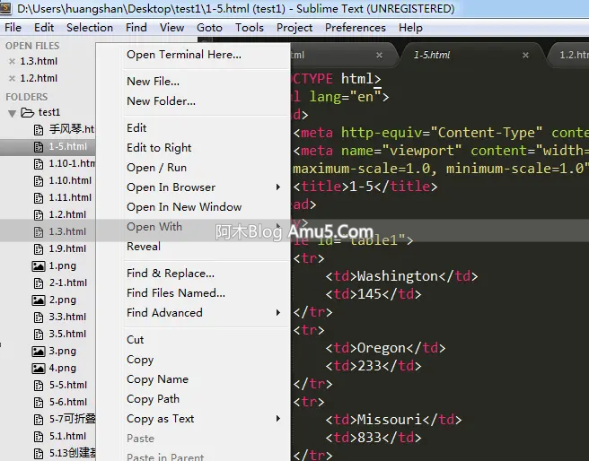 sublime text _编程入门Sublime Text_ sub 前端工具 