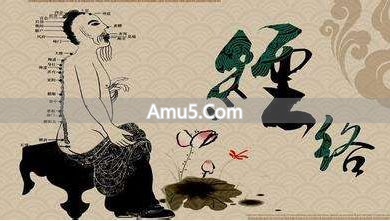 中医经络系统_什么是经络穴位_经络气血运行