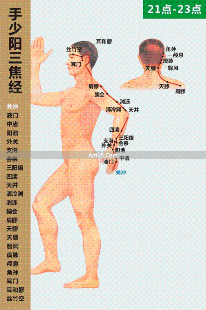什么是经络穴位_经络气血运行_中医经络系统