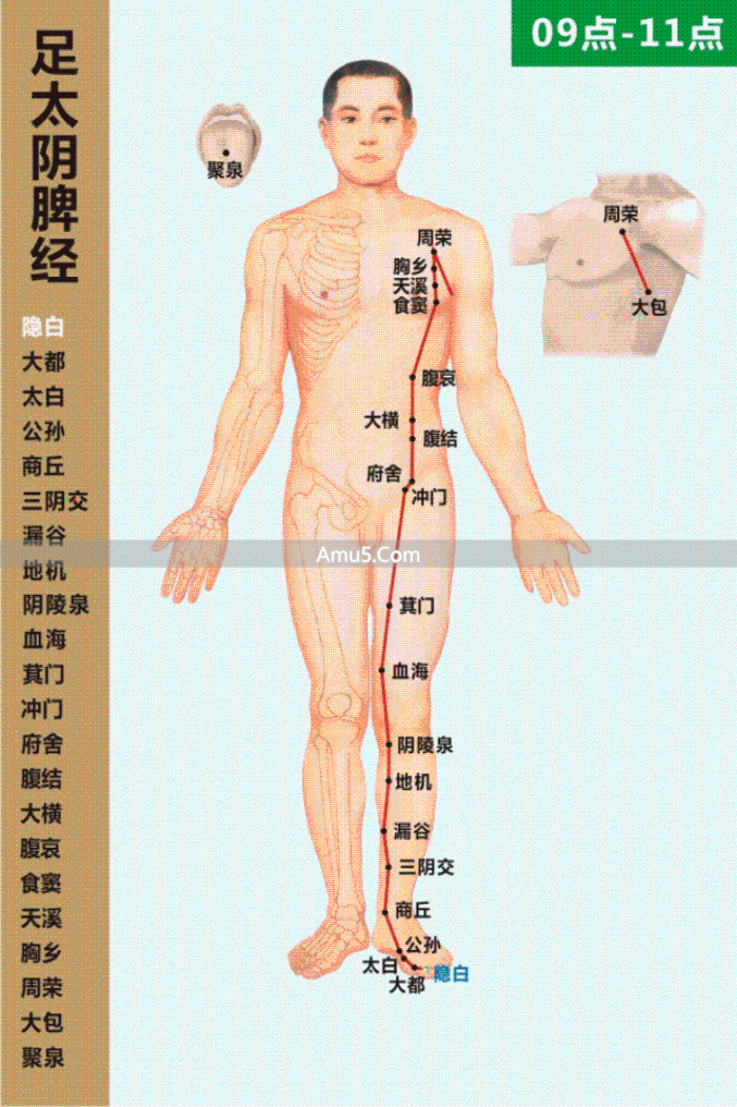 经络气血运行_什么是经络穴位_中医经络系统