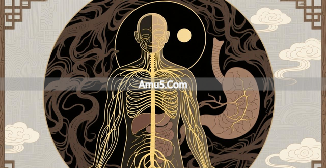 什么是经络穴位_经络气血运行_中医经络系统