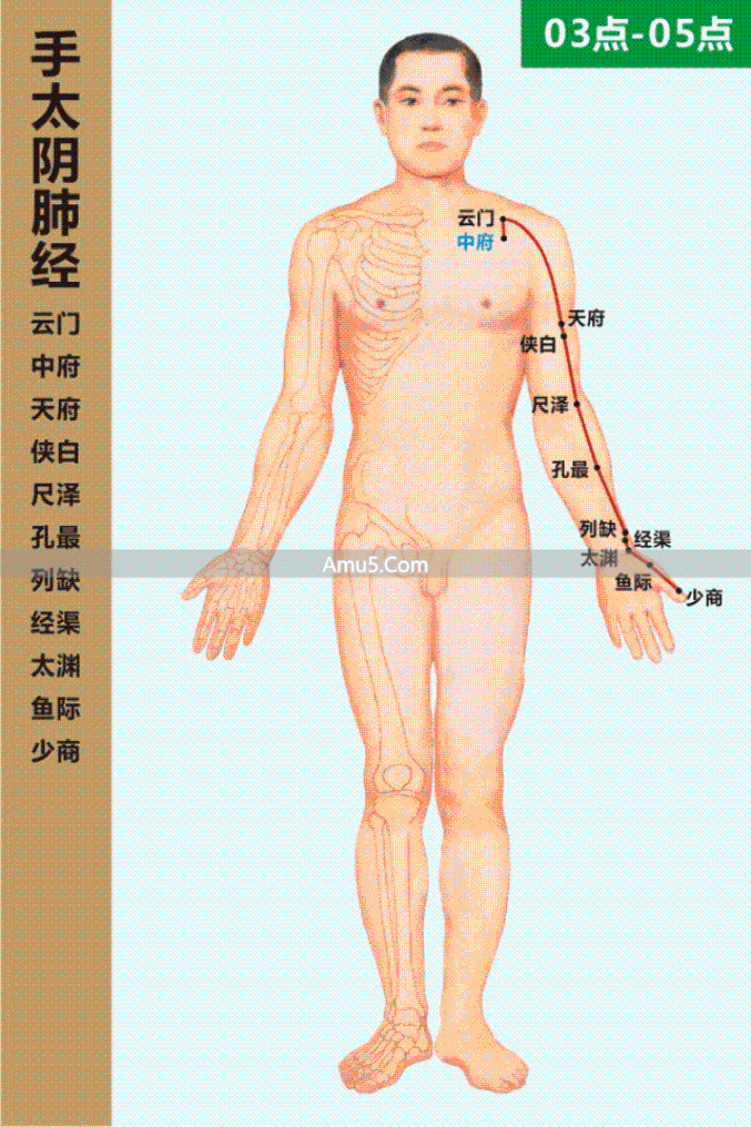 中医经络系统_什么是经络穴位_经络气血运行