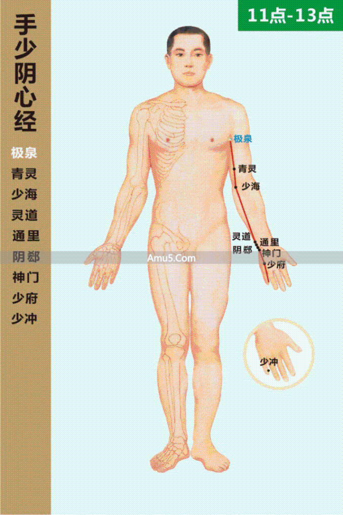 什么是经络穴位_经络气血运行_中医经络系统