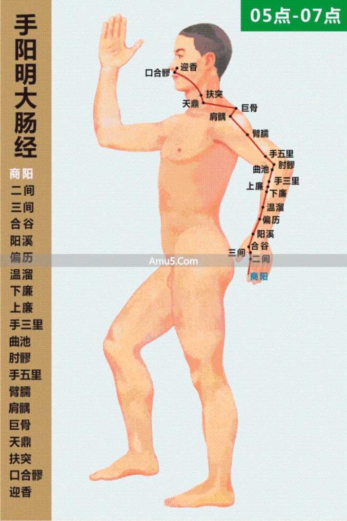 经络气血运行_中医经络系统_什么是经络穴位