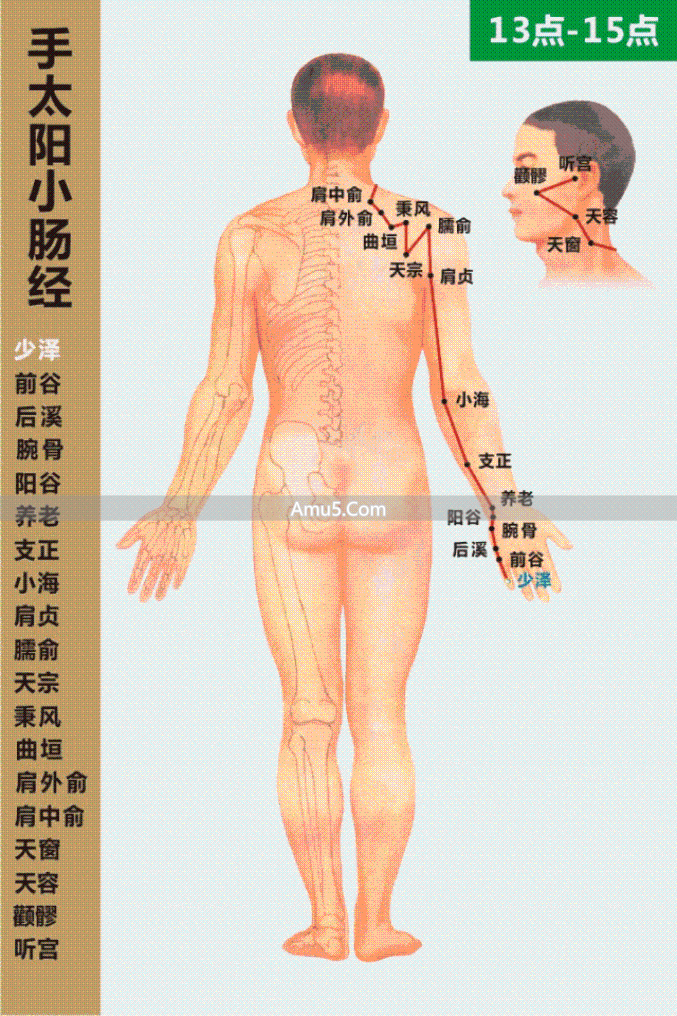 中医经络系统_什么是经络穴位_经络气血运行