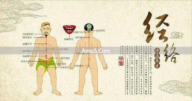 经络腧穴_中医经络系统_十二正经循行路线