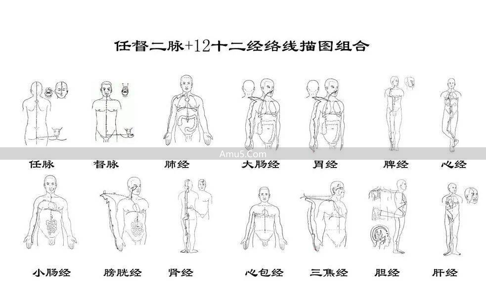 十二正经循行路线_经络腧穴_中医经络系统