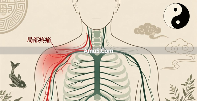 中医经络系统_经络腧穴_十二正经循行路线