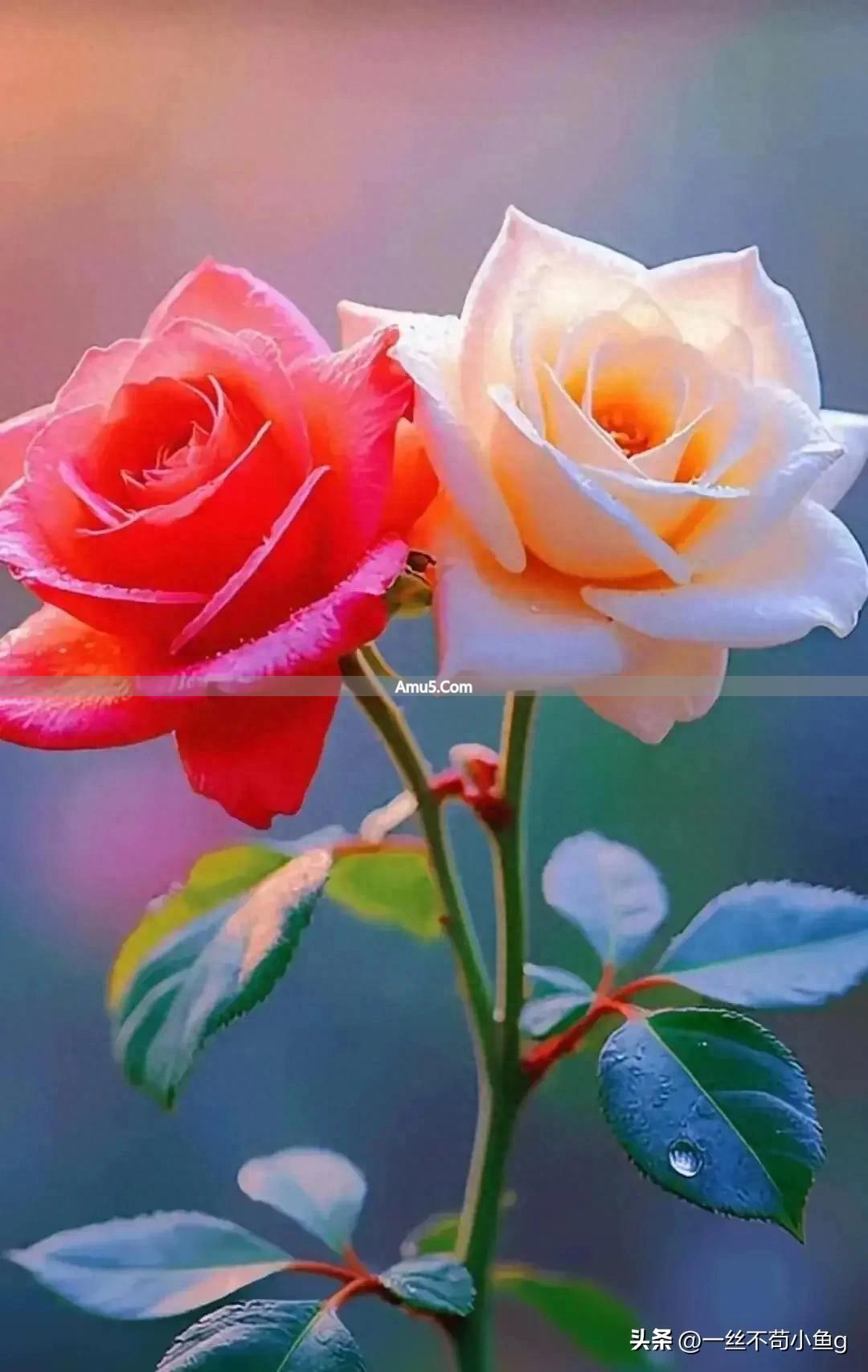 老宅大门风水意义_工厂大门风水_门向与家族兴旺