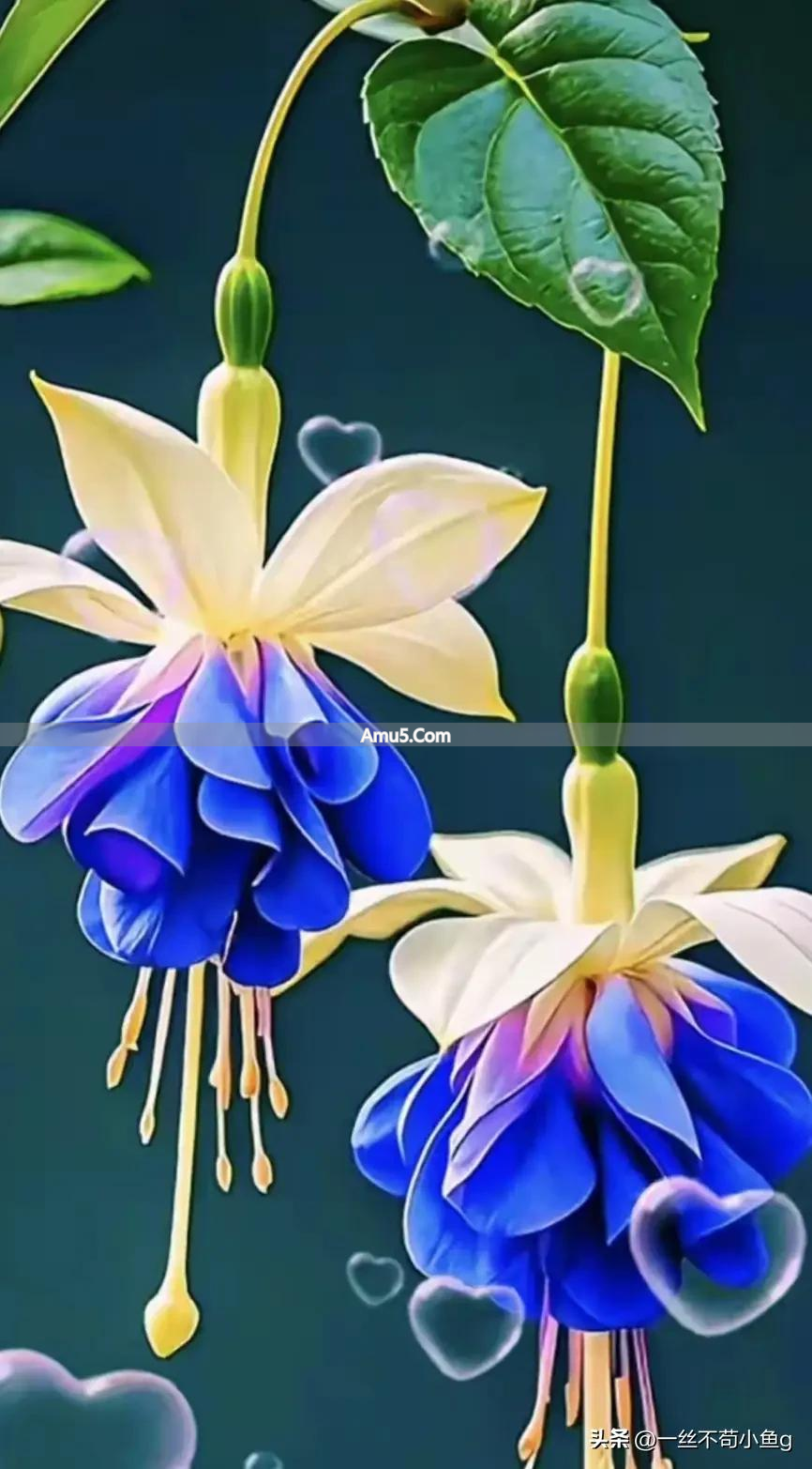 老宅大门风水意义_工厂大门风水_门向与家族兴旺