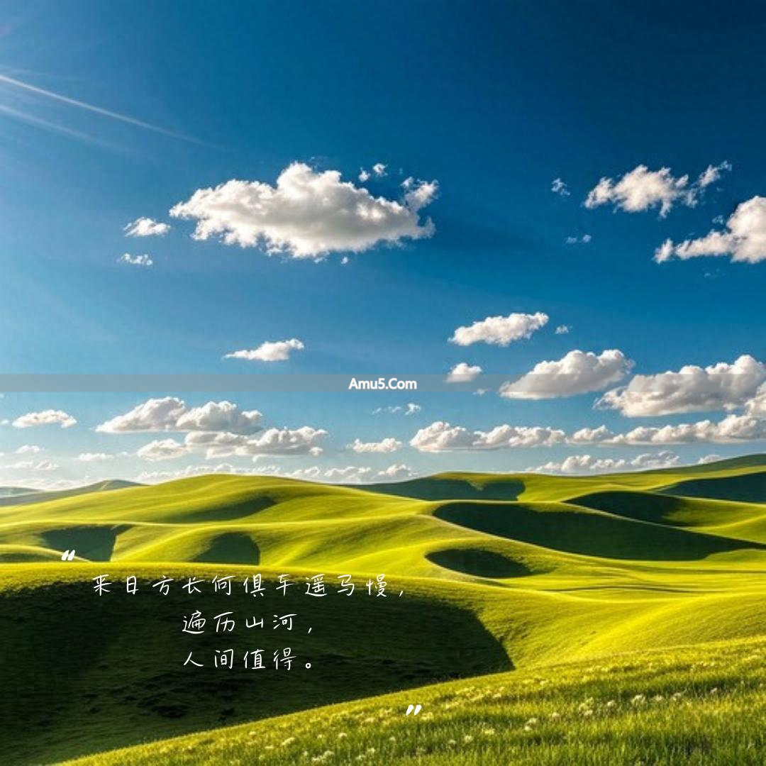 黄芪养生价值_黄芪养胃偏方_黄芪食用方法