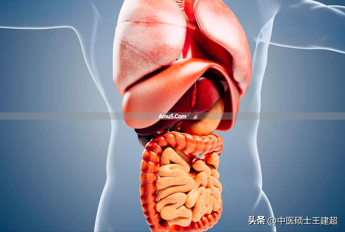 脾胃亏虚荨麻疹症状_中医古法养生改善荨麻疹_荨麻疹反复发作中医治疗