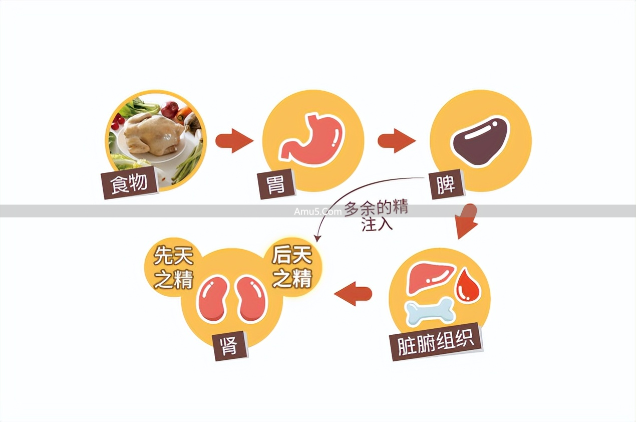 慢性荨麻疹中医治疗_荨麻疹中医辨证施治_中医古法养生改善荨麻疹