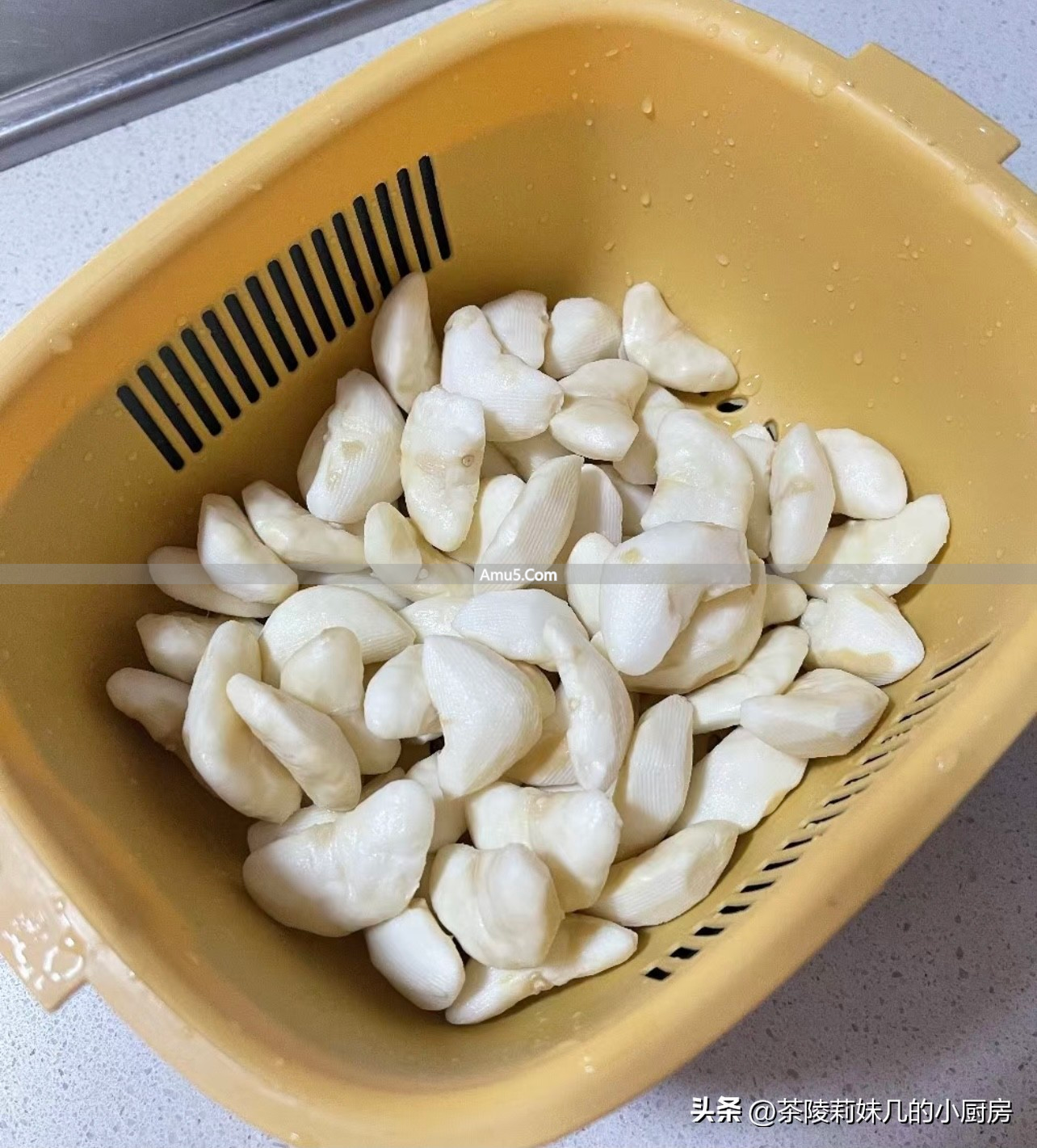 冬季菱角药膳的食材处理_秋季养生食材_菱角排骨汤做法