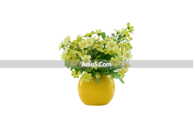 风水禁忌摆件摆放数量风水学_风水摆件布局技巧_家居摆件怎么摆