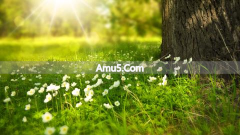 反弓煞避开门_民间风水居家反弓煞解_反弓水风水意义