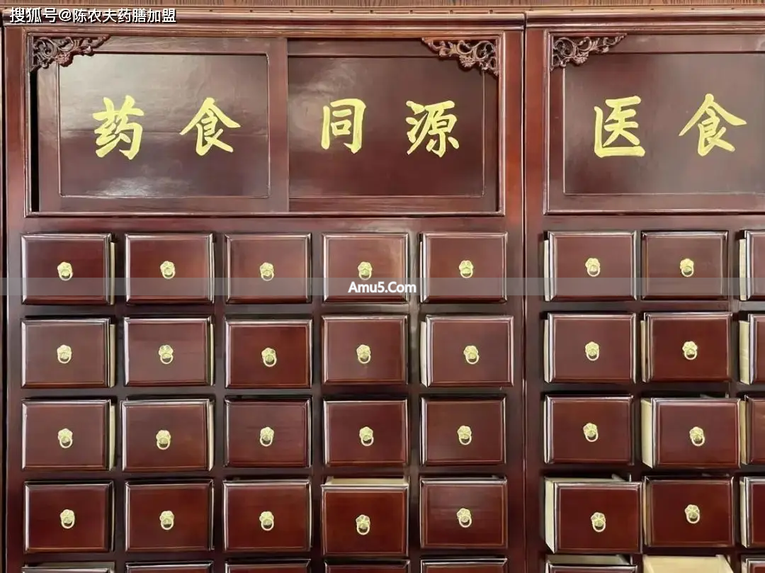 药食同源养生餐厅_药膳主食食疗_中医食疗餐饮市场