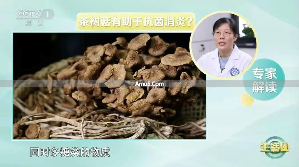 茶树菇食疗_茶树菇好处_茶树菇抗炎作用
