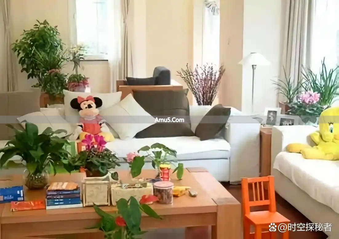 风水摆件提升家宅运势摆放风水学_财位识别方法_吉祥物选择依据