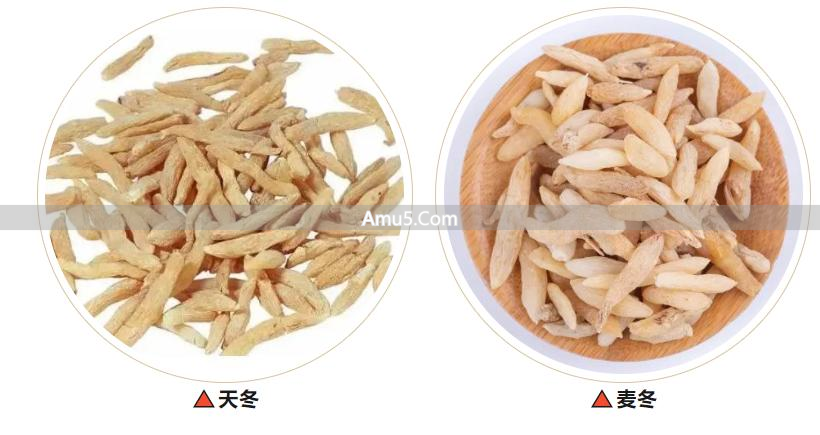 肺燥润肺偏方_中医养肺阴防肺燥_润肺本草茶饮