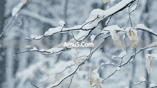 冬季养肺润肺食疗_肺燥润肺偏方_慢性肺部疾病预防