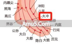 阳虚气郁体质 肿瘤预防 温阳解郁_中医气郁体质养血