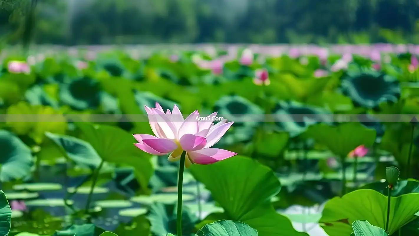 中医阴虚体质外治_阴虚火旺体质_六味地黄丸调理