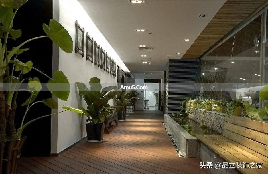 办公室绿植摆放_富贵竹办公室摆放寓意_办公绿植风水学