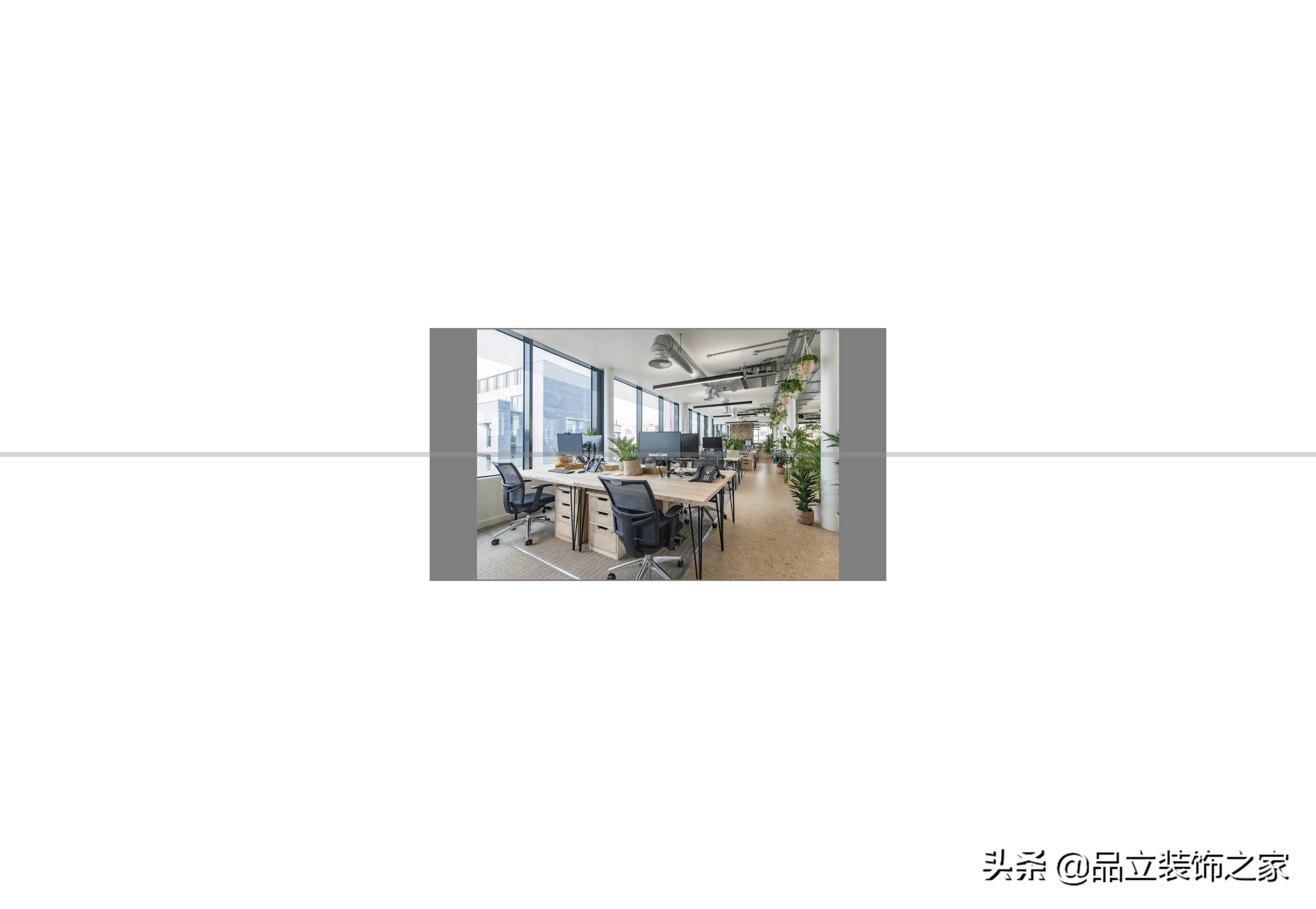 办公室绿植摆放_办公绿植风水学_富贵竹办公室摆放寓意