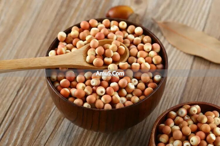 芡实食疗_芡实补脾功效_健脾祛湿剂