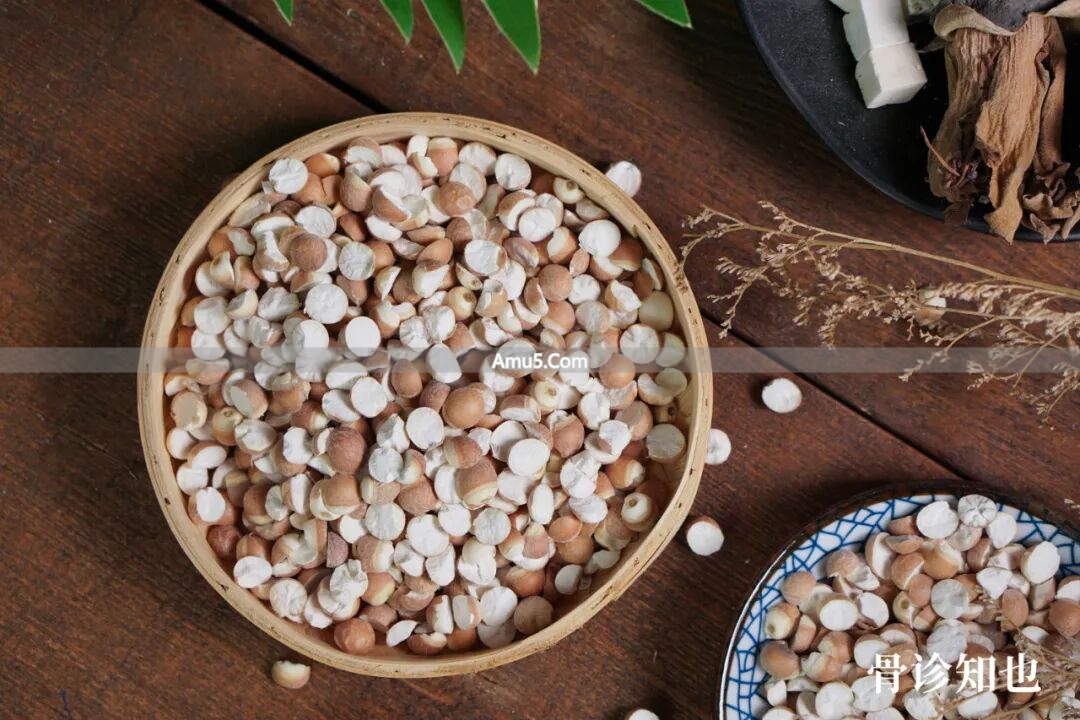 健脾祛湿剂_芡实补脾功效_芡实食疗