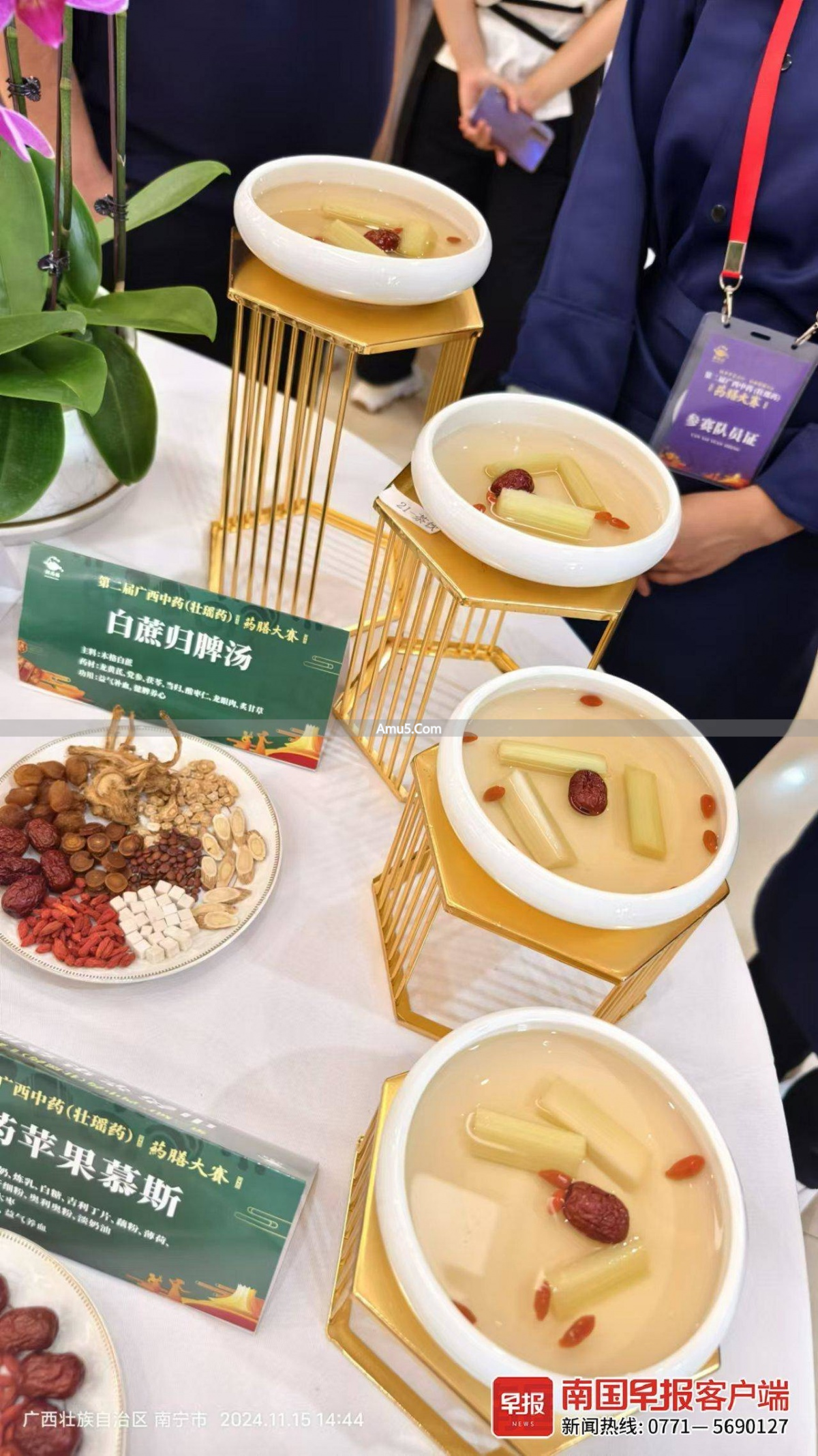 广西中药药膳大赛_家常药膳做法药膳_药膳制作方法大全