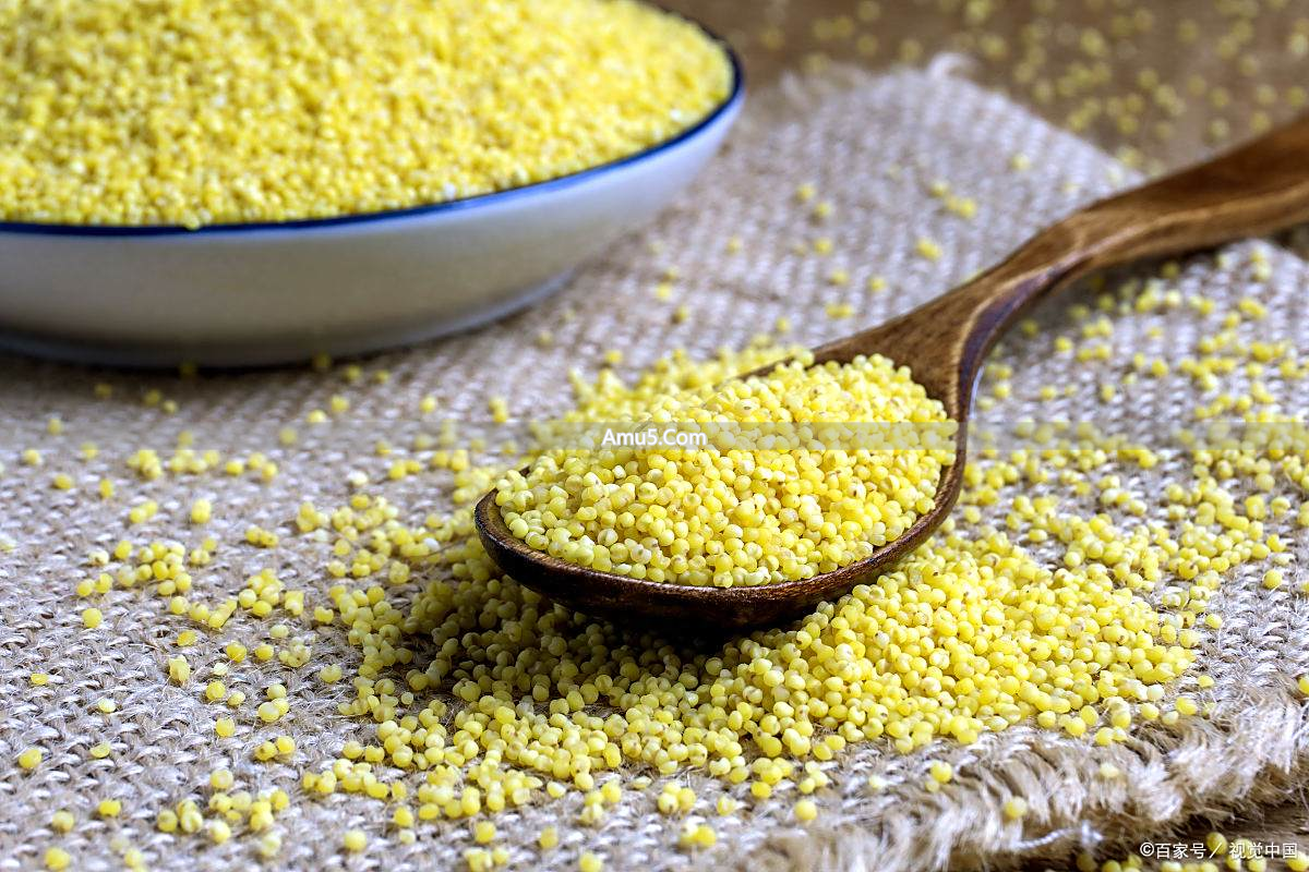 小米营养价值_小米食疗功效_小米食疗