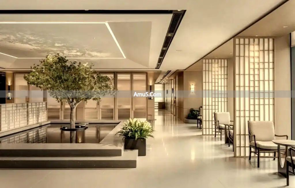 绿植净化空气提升效率_办公桌绿植风水学_办公室绿植风水布局