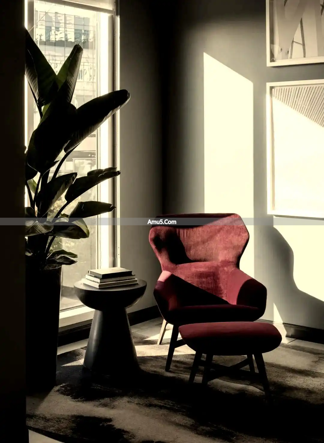 办公室绿植风水布局_绿植净化空气提升效率_办公桌绿植风水学