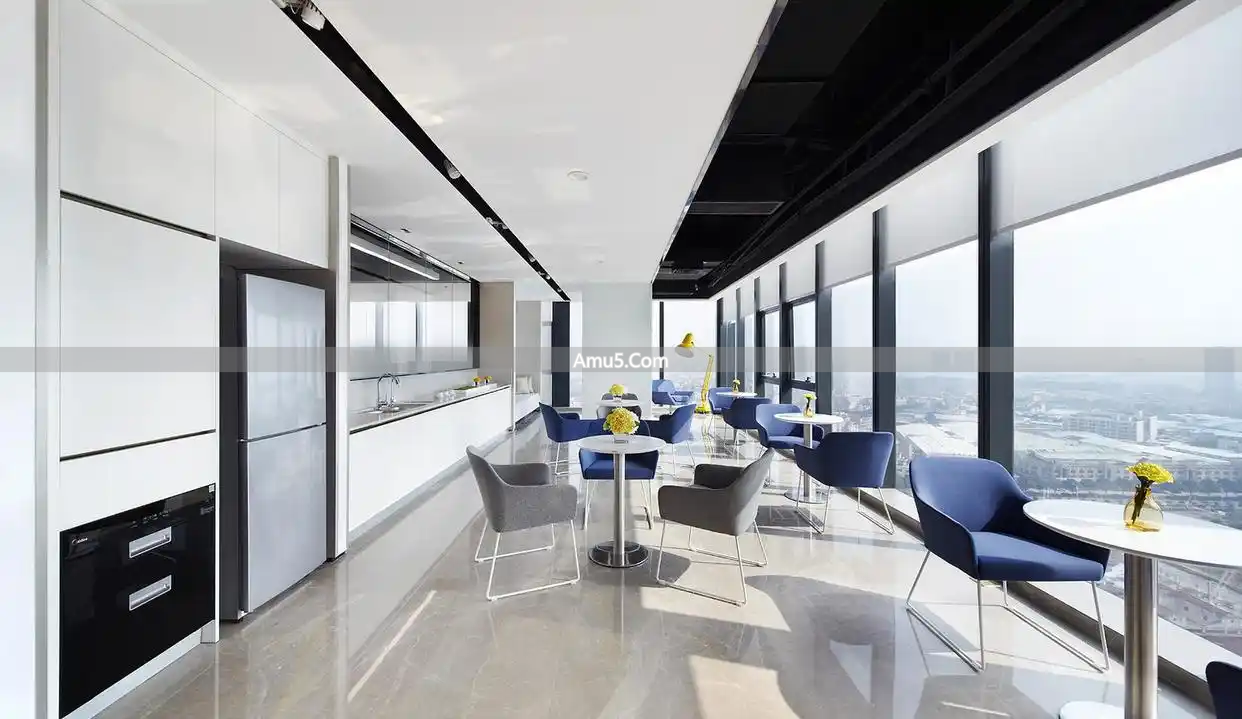 发财树办公室摆放_办公桌绿植风水学_办公室绿植风水