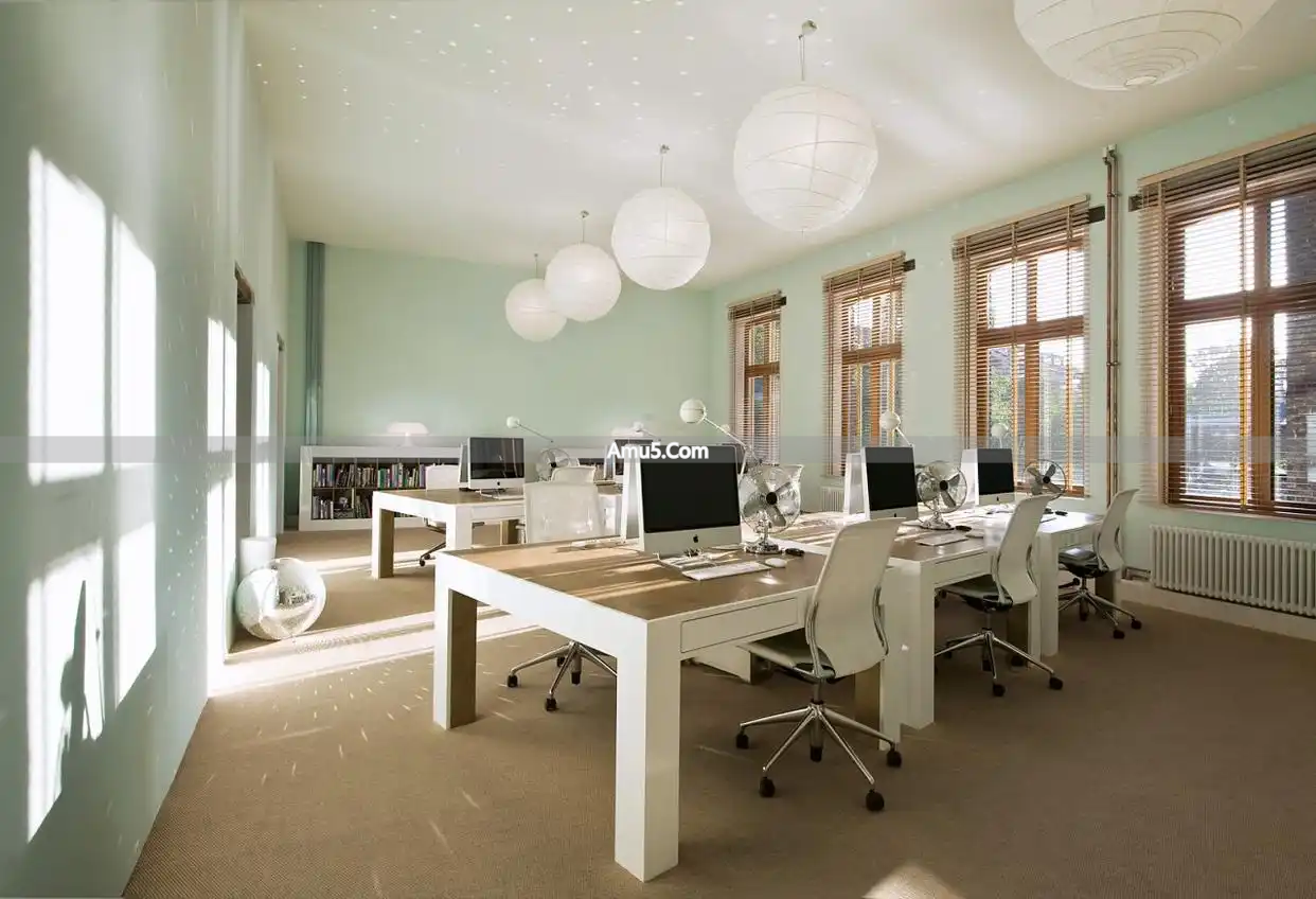 办公桌绿植风水学_发财树办公室摆放_办公室绿植风水