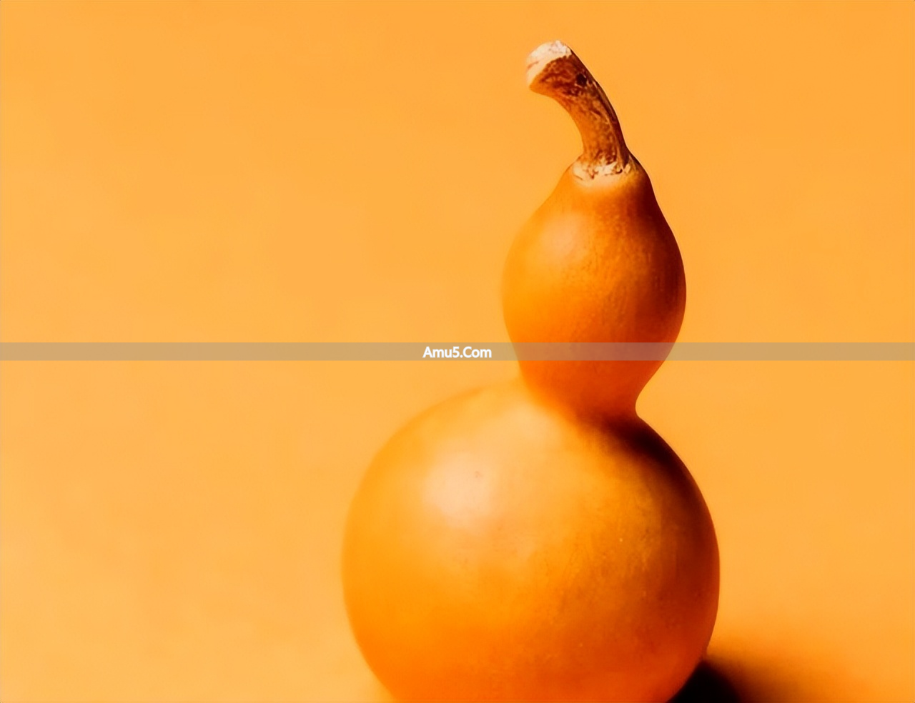 葫芦忌对灶摆放风水学_厨房葫芦清洁方法_葫芦摆放最佳位置