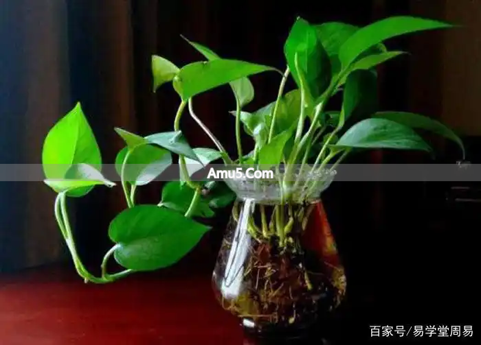 卧室书桌风水摆放_卧室书桌文昌位摆放_民间风水卧室书桌摆放