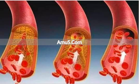 桃仁杏仁搭配禁忌_桃仁活血化瘀_桃仁功效作用