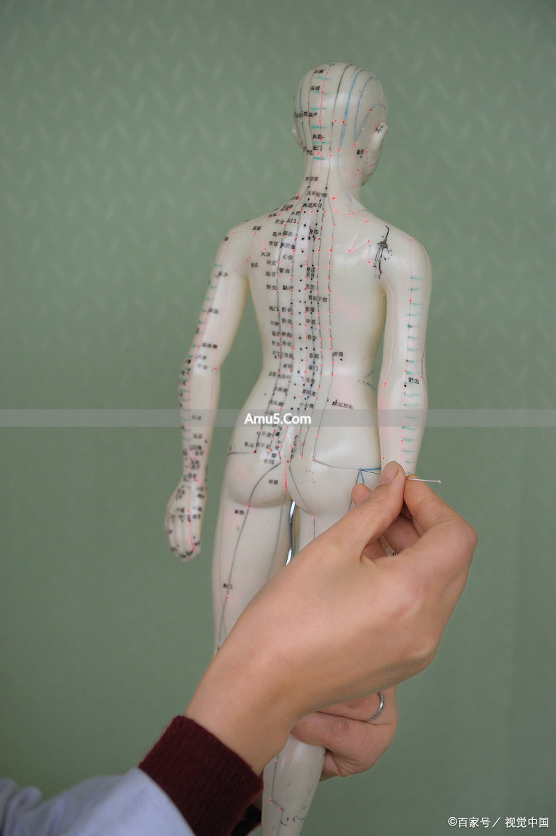 针刺保健法原理与实践方法_针刺穴位调理脏腑功能保健养生_中医穴位养生禁忌