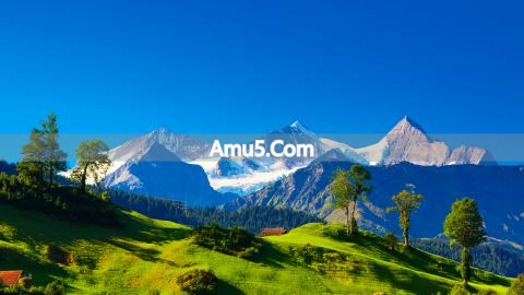 风水葫芦功效作用_葫芦朝向摆放风水学_风水葫芦摆放方法