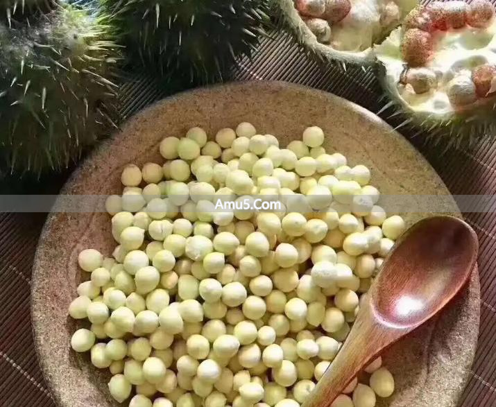 脾胃湿热症状_中医湿热体质调理中成药_祛湿热