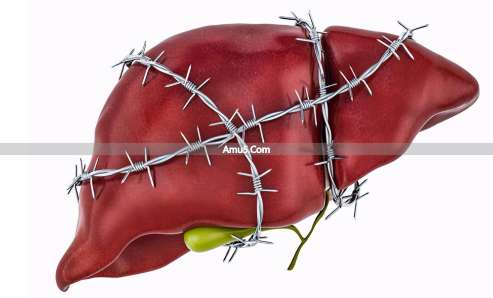 中医湿热体质调理中成药_脾胃湿热症状_祛湿热