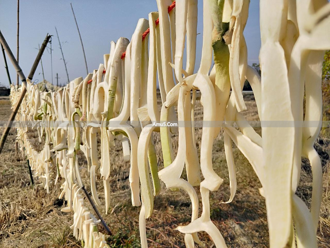 中医湿热体质调理中成药_三仁合剂通三焦化湿热_湿热三焦不通治疗