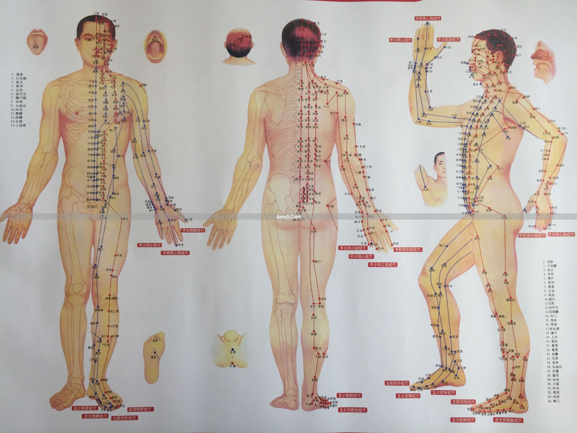 捏肉法判断经络通畅_中医经络不通症状_中医入门经络不通