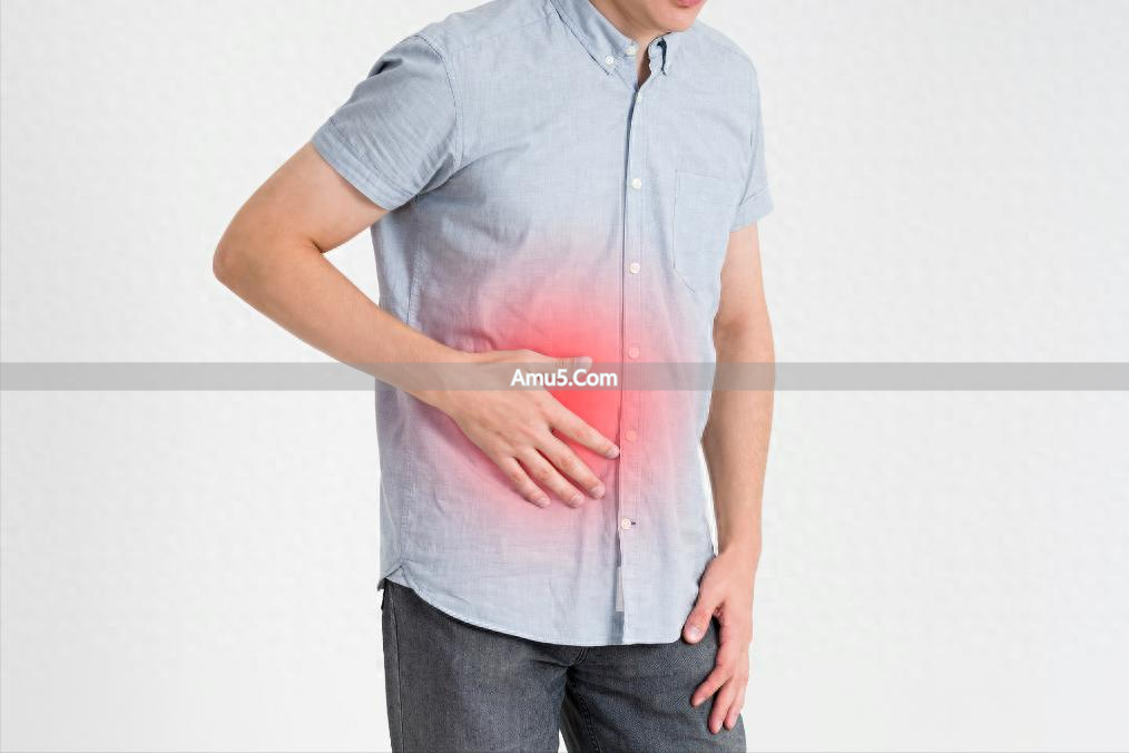 肝郁化火脾虚_中医湿热体质调理中成药_湿热肝郁