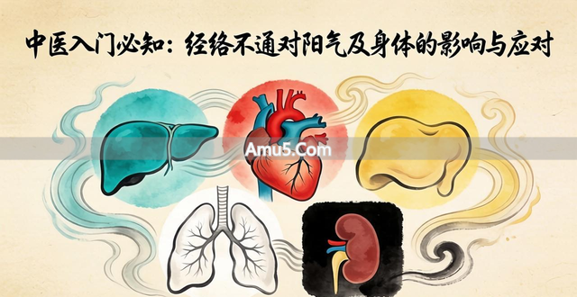 阳气运行受阻_中医入门经络不通_中医经络不通