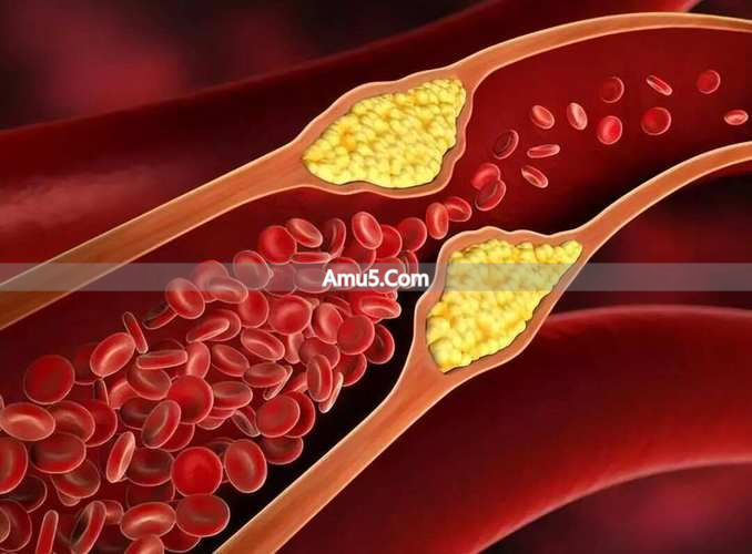 中医入门经络不通_肢体麻木 经络不通 中医调理